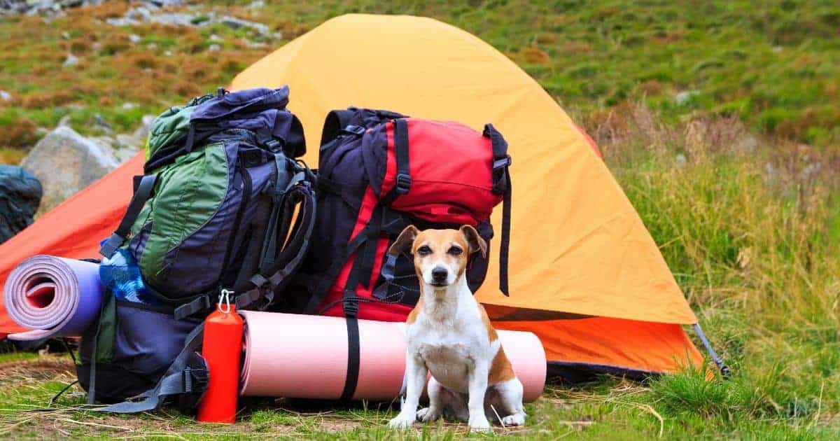 Top Camping Storage Ideas for Families